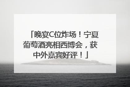 晚宴C位炸场！宁夏葡萄酒亮相西博会，获中外嘉宾好评！